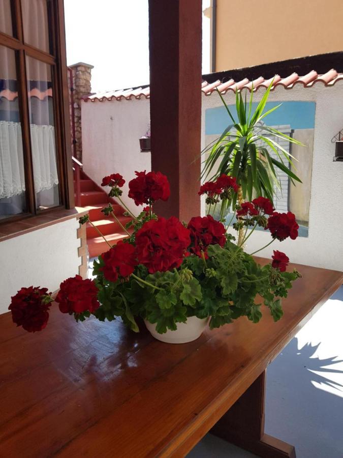 Apartments Varga Senj  Dış mekan fotoğraf