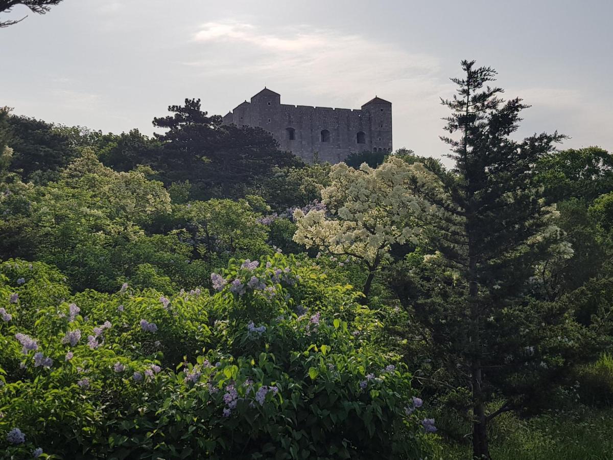 Apartments Varga Senj  Dış mekan fotoğraf